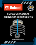 SEAL KIT CILINDRO VOLTEO BOBCAT